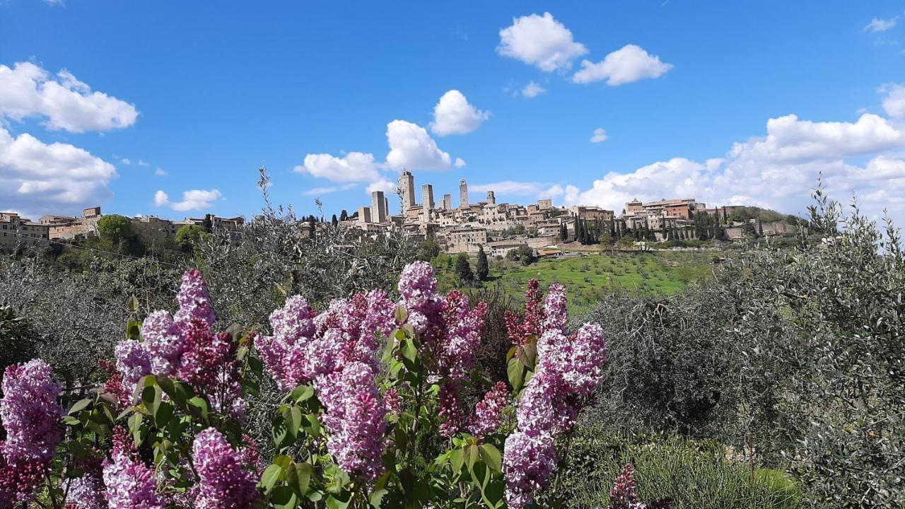 Antico Casolare Villa San Gimignano Exterior photo